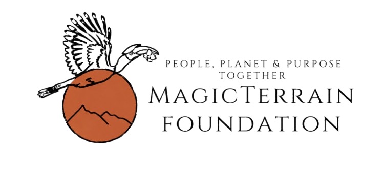 MagicTerrain Foundation